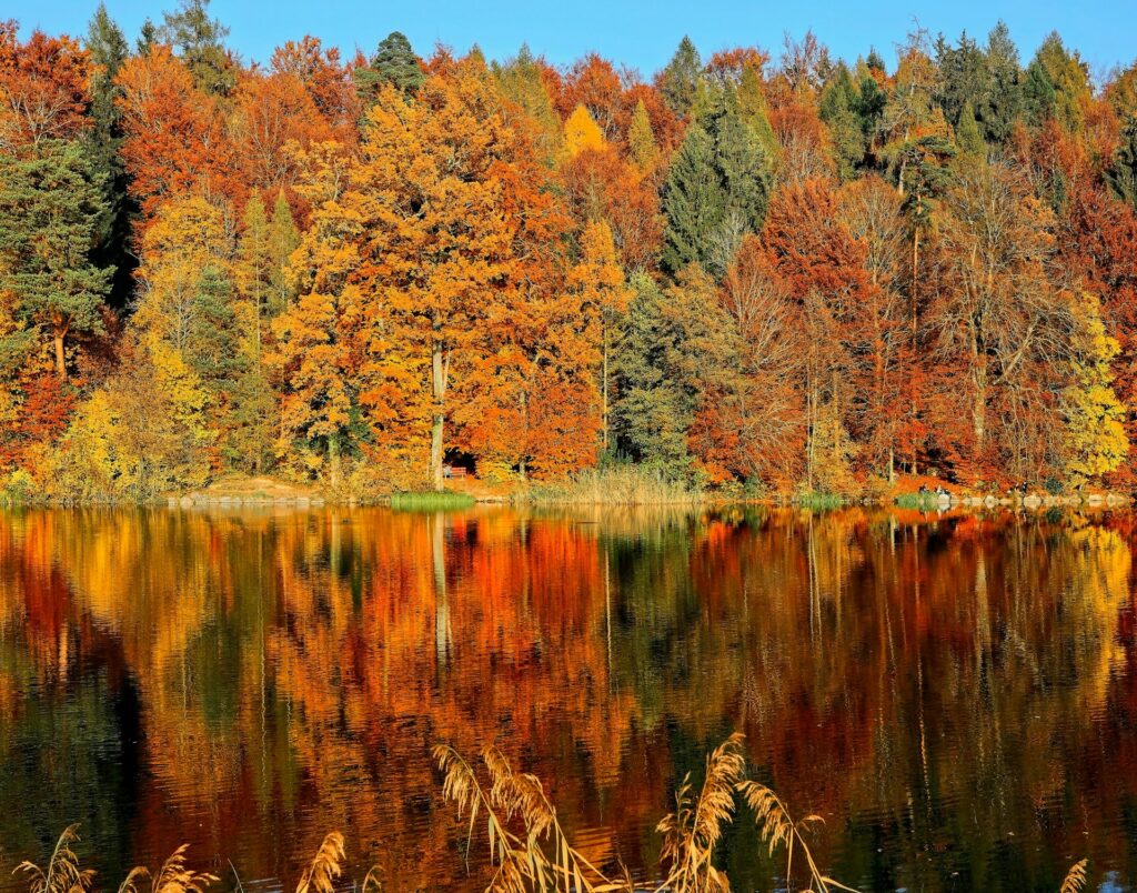climatisation en automne